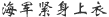 海军紧身上衣