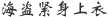 海军紧身上衣