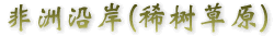 非洲沿岸(稀树草原)